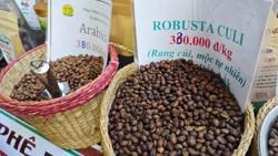 Điều chưa từng có trong lịch sử ngành xuất khẩu cà phê Việt Nam