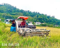 Tiếp sức cho nông dân phát triển kinh tế