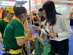 Doanh nghiệp Đắk Lắk tham gia Hội chợ Thương mại ASEAN - Trung Quốc lần thứ 21