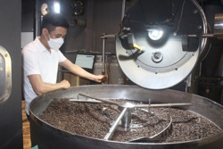 Mối lo "xanh nhà hơn già đồng" của doanh nghiệp cà phê Đắk Nông