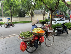 Tăng cơ hội việc làm cho người di cư