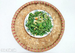 Dân dã nộm rau dớn