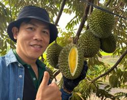 Những điều cần biết cho người muốn kinh doanh sầu riêng