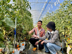 "Nông dân số" và hướng sản xuất nông nghiệp hiện đại