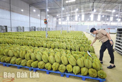 Xây dựng thương hiệu - Từ lễ hội đến thị trường