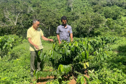 Nông dân Đắk Nông chú trọng sản xuất theo thị trường