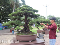 Không gian kết nối đam mê sinh vật cảnh