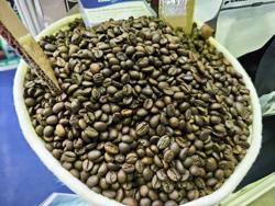 Giá cà phê hôm nay 10-1: Những câu chuyện 50 năm mới diễn ra một lần