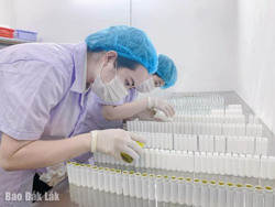 Nông nghiệp xanh, sản phẩm sạch