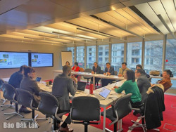 Buôn Ma Thuột đẩy mạnh hợp tác quốc tế, thu hút đầu tư