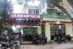 Khai trương điểm trưng bày, giới thiệu sản phẩm và cà phê hợp tác xã