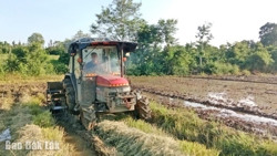 Nông dân Krông Ana tập trung xuống giống lúa vụ Đông Xuân