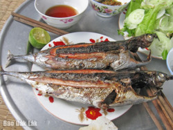 “Ngạc nhiên chưa” với… cá ồ