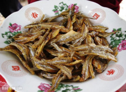 Mùa gió chướng về vườn ăn cá lòng tong