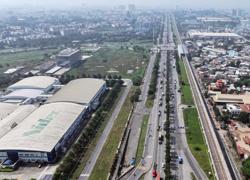 Thêm lựa chọn cho "đại bàng" công nghệ