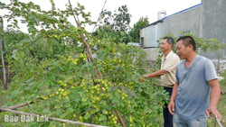 Giảm nghèo nhờ nguồn vốn chính sách