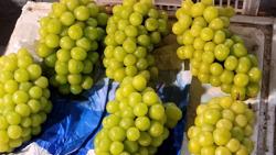 Thận trọng mua nho sữa "quý tộc" với giá siêu rẻ ở chợ Tết online