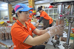 Sản phẩm OCOP "chạy" đơn hàng vụ Tết