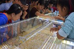 Giá vàng hôm nay, 17-1: Tăng lên mức cao nhất trong 4 tuần qua