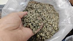 Giá cà phê hôm nay 18-1: Nhảy vọt lên 5.000 USD/tấn