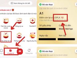 Cách đơn giản để biết giấy phép lái xe còn bao nhiêu điểm