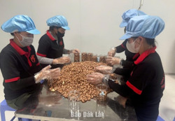 Huyện Cư Kuin có 6 sản phẩm OCOP 3 sao năm 2024