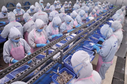 Dự báo kinh tế Việt Nam 2025: Nhiều chỉ dấu tích cực