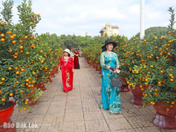 Du khách thích thú "check-in" Chợ hoa Xuân