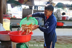 Nhộn nhịp chuẩn bị đưa ông Táo về trời