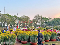 Rộn ràng đón Tết