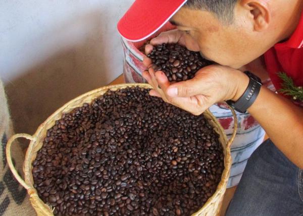 Giá cà phê hôm nay 23-1: Tăng dữ dội, tiến sát mức kỷ lục