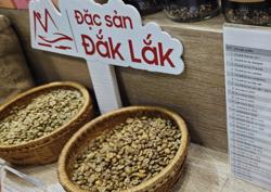 Giá cà phê hôm nay 3-1: Bật tăng trong ngỡ ngàng