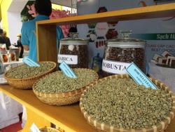 Giá cà phê hôm nay 4-1: Rớt giá liên tục, người trồng có tiếp tục găm hàng?