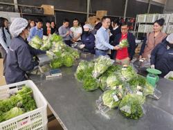 Cơ hội mới hợp tác TP HCM và các tỉnh Tây Nguyên