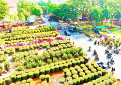 Chợ hoa Xuân Ất Tỵ sẽ diễn ra từ ngày 14 đến 29 tháng 12 Âm lịch