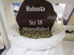 Giá cà phê hôm nay 6-1: Giá liên tục giảm, “ông trùm” cà phê nói gì?