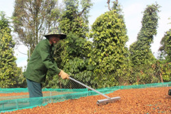  Phấn đấu thành lập mới 60 hợp tác xã trong năm 2025