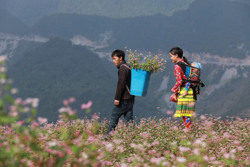 Du lịch đã ‘cán đích’