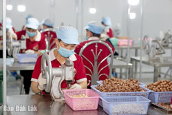 Giải bài toán thiếu vốn cho doanh nghiệp nhỏ và vừa