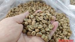 Giá cà phê hôm nay 9-1: Vừa tăng đã vội giảm