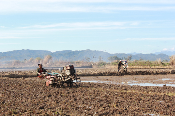 Nông dân đang làm đất trên cánh đồng Buôn Trấp.