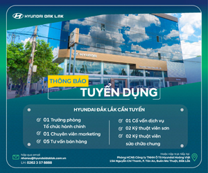 Hyundai Hoang Viet - Thang 3