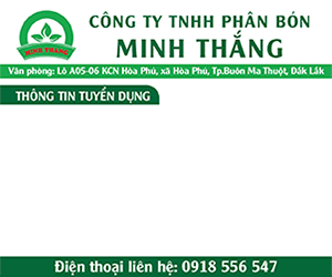 Phân bón Minh Thắng - B03