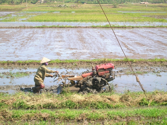 Nông dân huyện Krông Ana chuẩn bị đất cho sản xuất vụ đông xuân.
