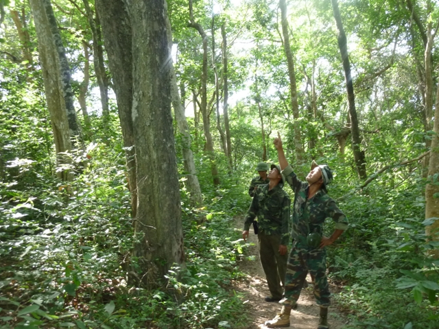 Tuần tra rừng ở Khu Bảo tồn thiên nhiên Ea Sô.