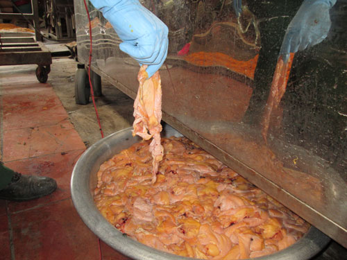 Thịt gà thối độn bột mì thêm phụ gia, phẩm màu độc hại (ảnh trên) cho ra chà bông giá rẻ (ảnh dưới)