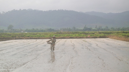 Nông dân huyện Ea Kar đang sạ lúa vụ đông xuân 2014-2015