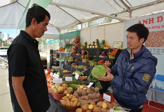 Nhân viên bán hàng tư vấn cách phân biệt nông sản Đà Lạt và Trung Quốc cho người tiêu dùng.