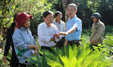 Ông Nguyễn Trường Đa (thứ 2 từ phải sang) chia sẻ kinh nghiệm chăm sóc cây lấy lá cảnh