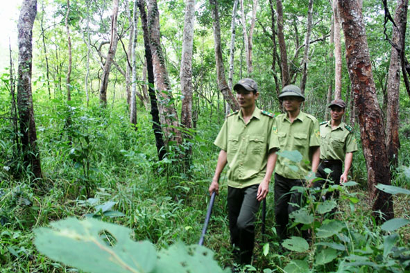 Tuần tra bảo vệ rừng  ở Khu  bảo tồn thiên nhiên  Ea Sô.